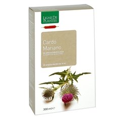 Estratto Acquoso di Cardo Mariano - 20 ampolle bevibili da 15 ml