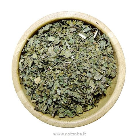 Biokyma - Herbs - Gotu Kola leaves - 1 kg | Medicinal Herbs | Erboristeria Natsabe: online selling