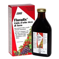 Integratore di Ferro Floradix - 250 ml