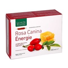 Rosa Canina Energie da agricoltura biologica - 10 ampolle da 10 ml